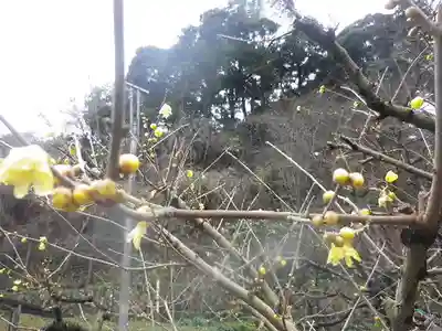 光則寺(神奈川県)