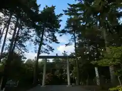 上川神社の鳥居