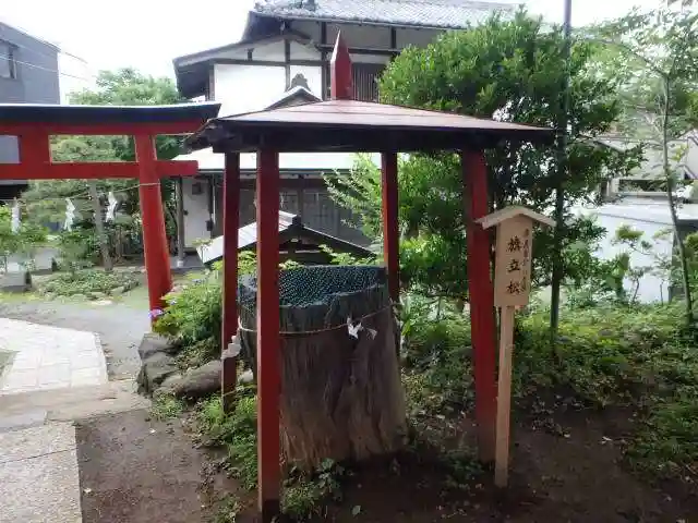 由比若宮(元鶴岡八幡宮)(神奈川県)