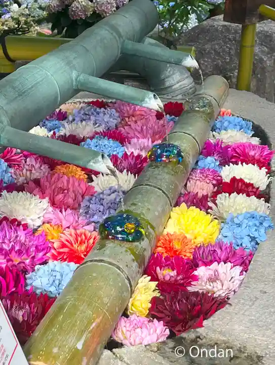 岡寺(龍蓋寺)(奈良県)