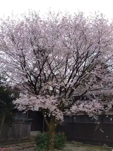 城福寺(福井県)