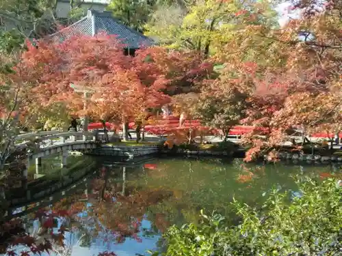 禅林寺（永観堂）の自然