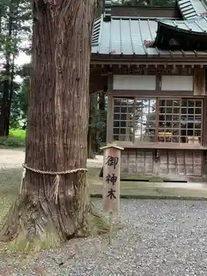 六所神社(茨城県)