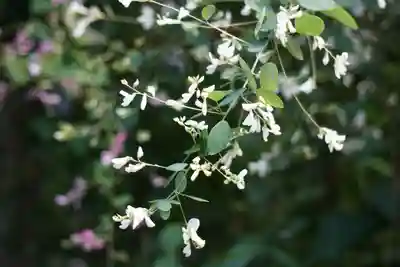 梨木神社(京都府)