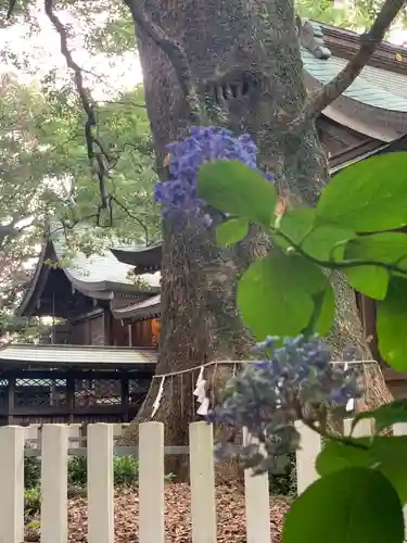 春日神社の自然