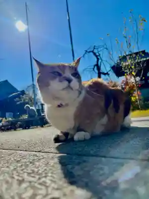 秩父札所十三番 慈眼寺(埼玉県)