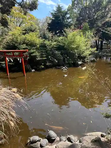 平塚八幡宮(神奈川県)