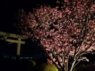春日神社の庭園