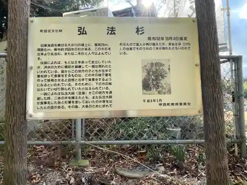 大杉弘法堂（弘法スギ）(滋賀県)