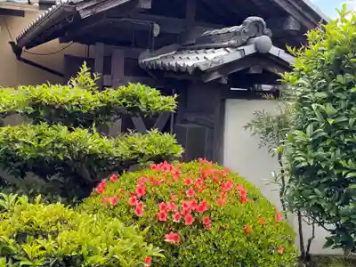 西方山極楽寺(岐阜県)