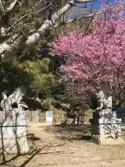 水戸愛宕神社の自然