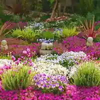 寿量山 速成寺の庭園