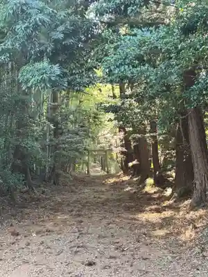 胎安神社(茨城県)