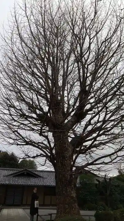 高円寺の末社・摂社