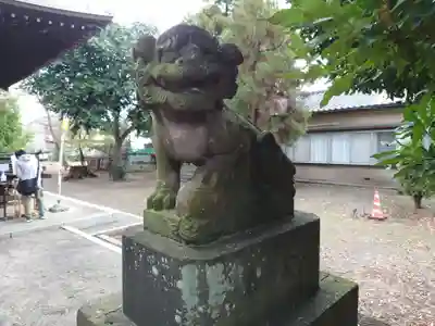 下石原八幡神社の狛犬
