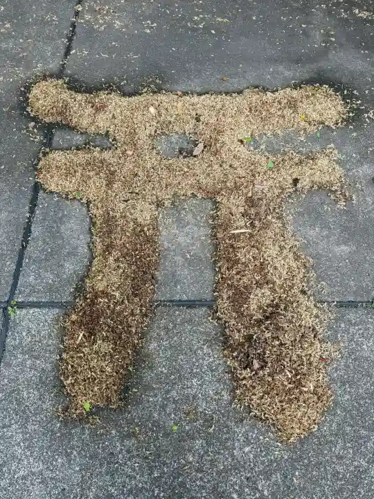 海南神社の{uncategorized: "未分類", other: "その他", undefined: "問題あり", building: "その他建物", grave: "お墓", sacred_gate: "鳥居", guardian: "狛犬", statue: "像", buddha: "仏像", history: "歴史", nature: "自然", garden: "庭園", animal: "動物", pagoda: "塔", temizu: "手水舎", mountain_gate: "山門・神門", sanctuary: "本殿・本堂", subordinate: "末社・摂社", art: "芸術", scenery: "景色", jizo: "地蔵", ema: "絵馬", goshuin: "御朱印", omikuji: "おみくじ", items: "授与品その他", amulet: "お守り", goshuincho: "御朱印帳", eats: "食事", festival: "お祭り", votive_dance: "神楽", shichigosan: "七五三参", wedding: "結婚式", experience: "体験その他", initially: "初詣", around: "周辺", anti_infection: "感染症対策"}