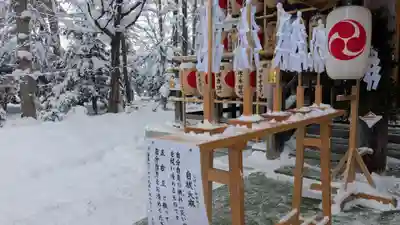 旭川神社の初詣