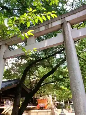 熊野神社の鳥居