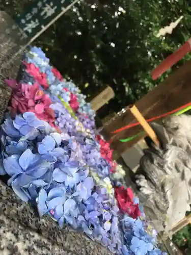 滑川神社 - 仕事と子どもの守り神の手水舎