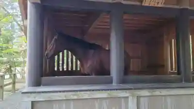 伊勢神宮内宮（皇大神宮）(三重県)