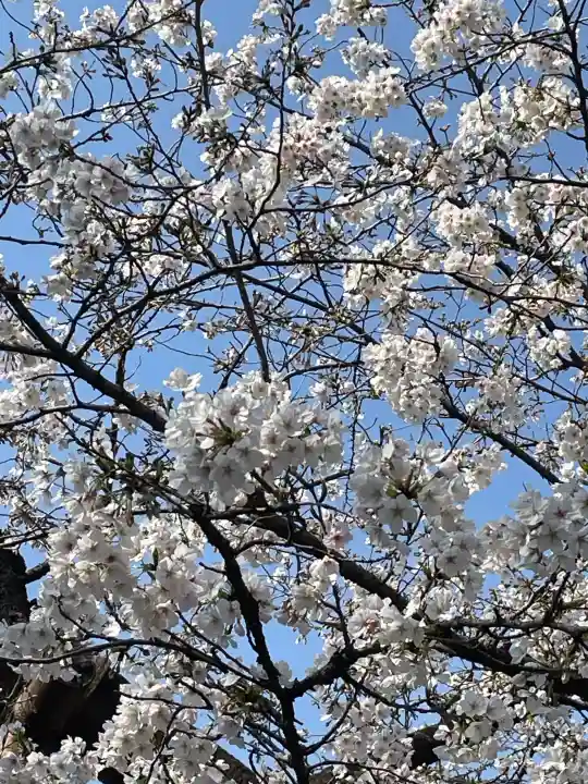 靖國神社の{uncategorized: "未分類", other: "その他", undefined: "問題あり", building: "その他建物", grave: "お墓", sacred_gate: "鳥居", guardian: "狛犬", statue: "像", buddha: "仏像", history: "歴史", nature: "自然", garden: "庭園", animal: "動物", pagoda: "塔", temizu: "手水舎", mountain_gate: "山門・神門", sanctuary: "本殿・本堂", subordinate: "末社・摂社", art: "芸術", scenery: "景色", jizo: "地蔵", ema: "絵馬", goshuin: "御朱印", omikuji: "おみくじ", items: "授与品その他", amulet: "お守り", goshuincho: "御朱印帳", eats: "食事", festival: "お祭り", votive_dance: "神楽", shichigosan: "七五三参", wedding: "結婚式", experience: "体験その他", initially: "初詣", around: "周辺", anti_infection: "感染症対策"}
