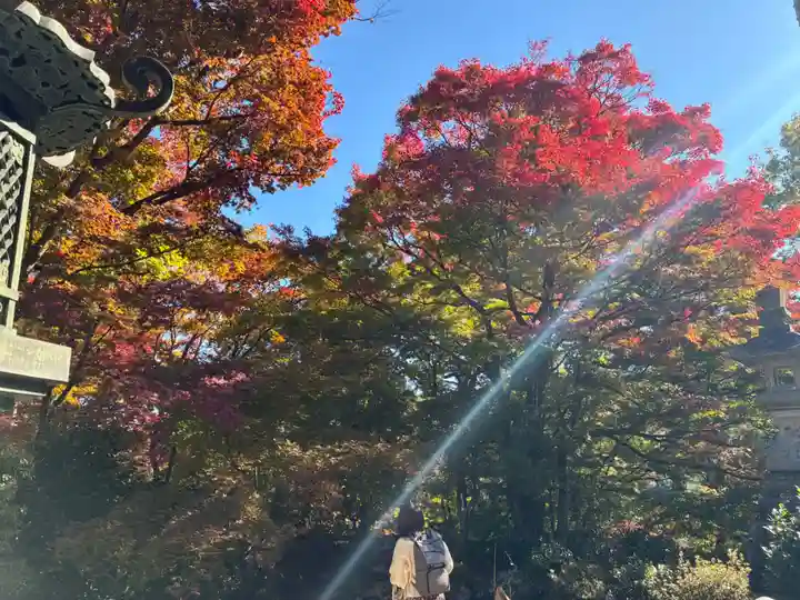 柳谷観音 楊谷寺(京都府)