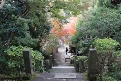 杉本寺(神奈川県)