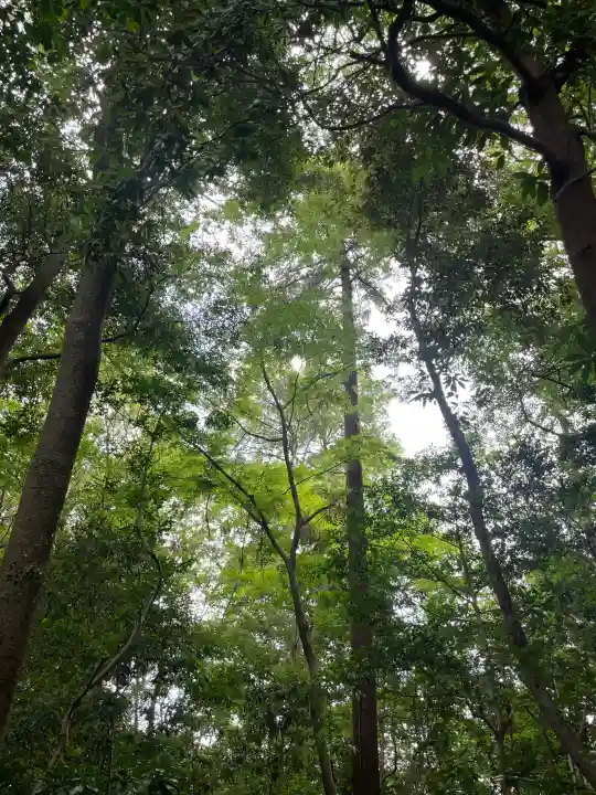 櫻木神社(千葉県)
