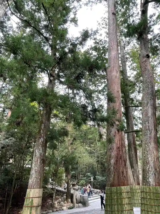 伊勢神宮内宮(皇大神宮)の{uncategorized: "未分類", other: "その他", undefined: "問題あり", building: "その他建物", grave: "お墓", sacred_gate: "鳥居", guardian: "狛犬", statue: "像", buddha: "仏像", history: "歴史", nature: "自然", garden: "庭園", animal: "動物", pagoda: "塔", temizu: "手水舎", mountain_gate: "山門・神門", sanctuary: "本殿・本堂", subordinate: "末社・摂社", art: "芸術", scenery: "景色", jizo: "地蔵", ema: "絵馬", goshuin: "御朱印", omikuji: "おみくじ", items: "授与品その他", amulet: "お守り", goshuincho: "御朱印帳", eats: "食事", festival: "お祭り", votive_dance: "神楽", shichigosan: "七五三参", wedding: "結婚式", experience: "体験その他", initially: "初詣", around: "周辺", anti_infection: "感染症対策"}