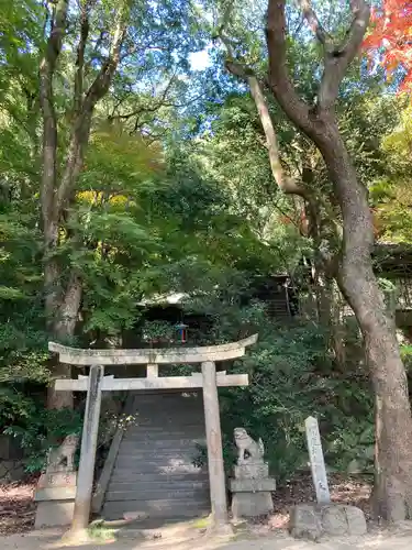 徳光院の鳥居