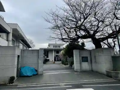 宗善寺(東京都)