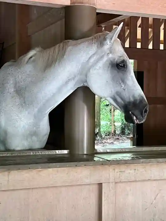 伊勢神宮外宮(豊受大神宮)(三重県)