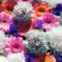 鹿島台神社(宮城県)