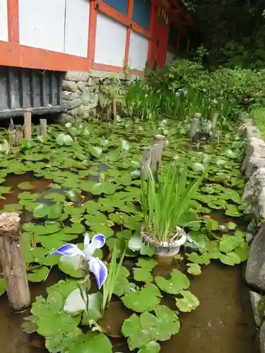 吉田神社の庭園