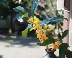 今市報徳二宮神社の自然