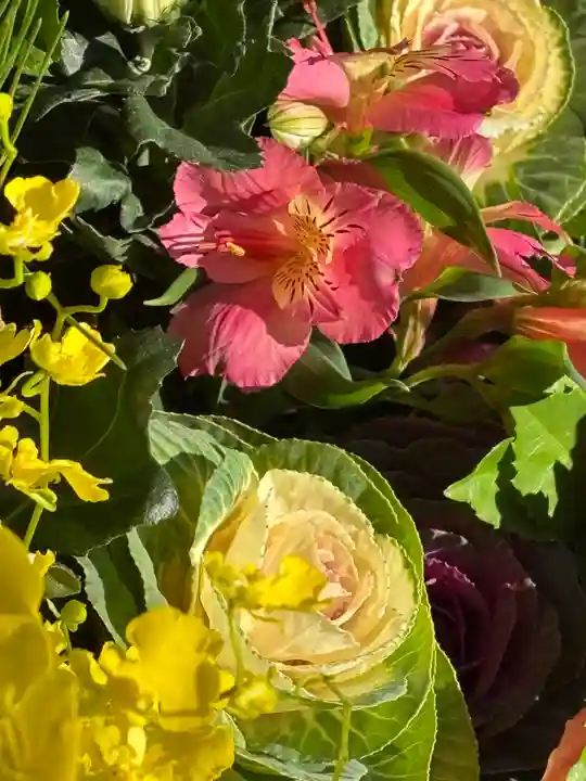 上尾御嶽神社の手水舎