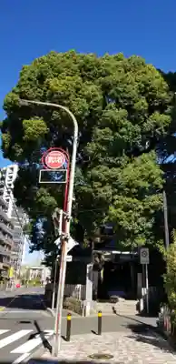 八幡神社(千葉県)