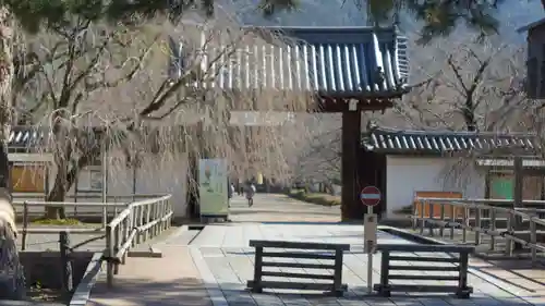 醍醐寺(京都府)