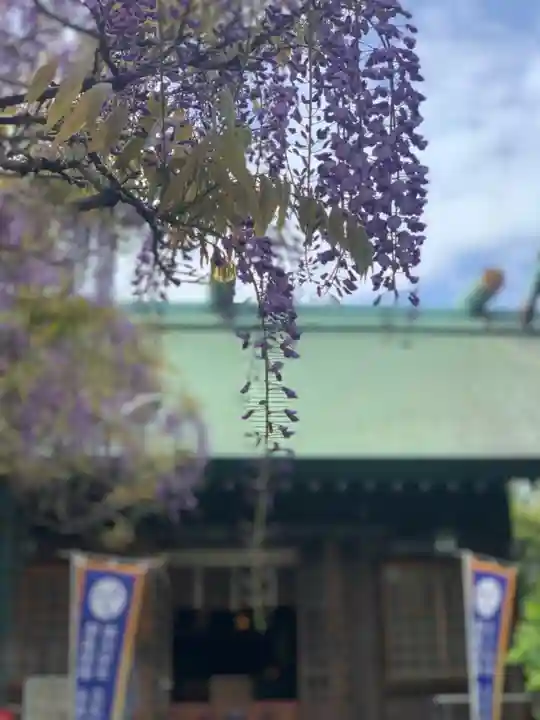 國領神社の庭園
