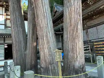 北向観音(長野県)