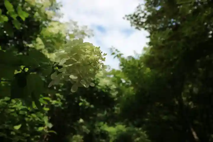 宝筐院(京都府)