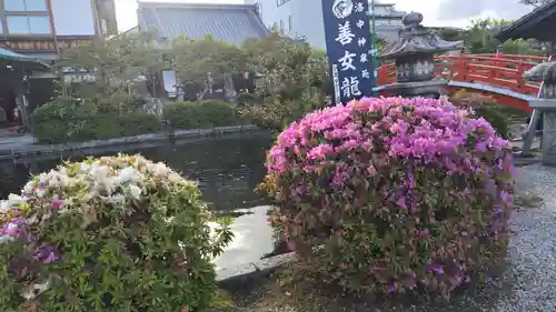 神泉苑(京都府)