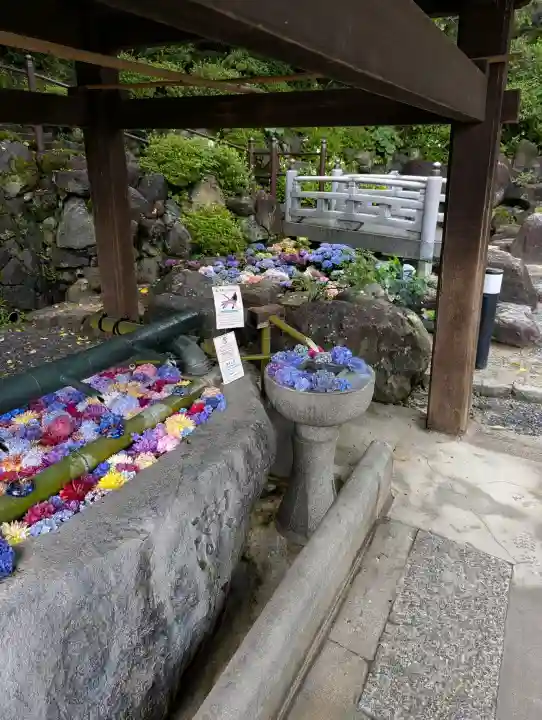 岡寺(龍蓋寺)(奈良県)