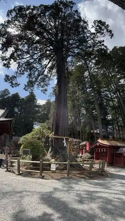 北口本宮冨士浅間神社(山梨県)