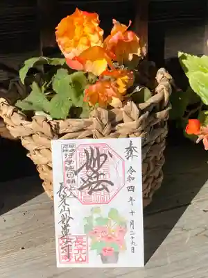 妙蓮寺(神奈川県)