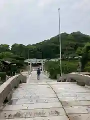 鶴羽根神社の建物その他