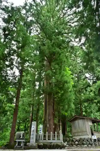 八海神社(新潟県)