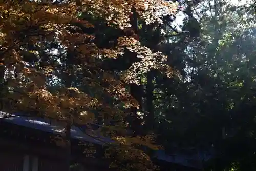 大神神社(奈良県)