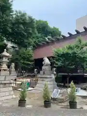 高円寺氷川神社(東京都)