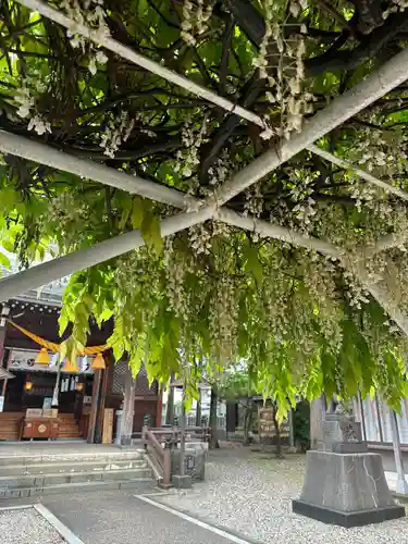奥田神社の自然